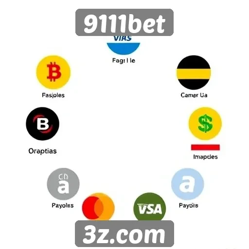 Revisão das opções de pagamento do 9111bet