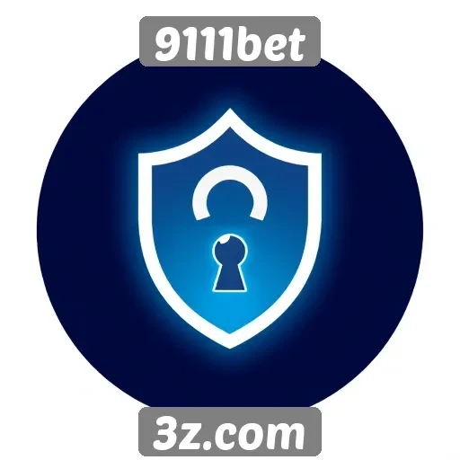 Dados sobre a segurança do site 9111bet